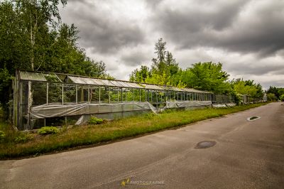 Eine Reihe von Gewächshäusern