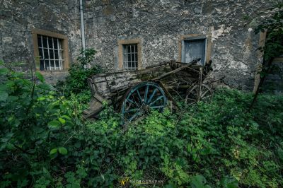 Ein kaputter Wagen sitzt in einem überwucherten überwucherten Hof