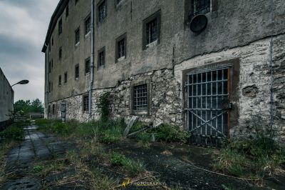 Ein Gebäude mit einem Haufen Pflanzen, die im Boden wachsen