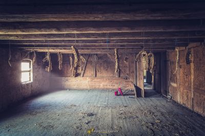 Ein Zimmer mit einem Haufen Bananen, die an der Decke hängen