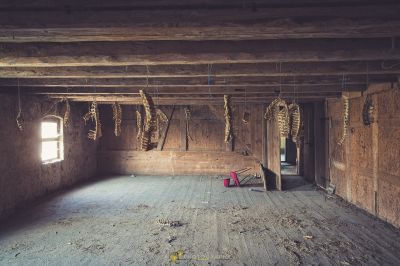 Ein Raum mit einem Haufen toter Vögel, die an der Decke hängen