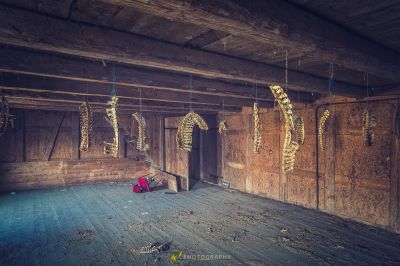 Ein Raum mit einem Haufen toter Tiere, die an der Decke hängen