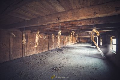 Eine Reihe von Gits, die an der Decke hängen