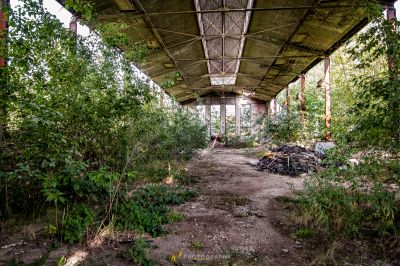 Ein sehr altes verlassenes Gebäude mit vielen Pflanzen