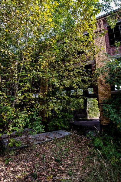 Ein verlassenes Haus im Wald