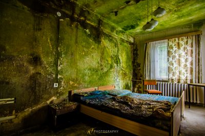 Ein Bett in einem Zimmer mit einer grünen Wand