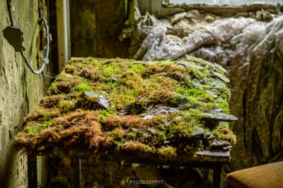 Ein Moos gedeckter Tisch