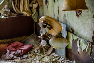 Ein Vogel wird auf einem zerbrochenen Vogelfutter thront