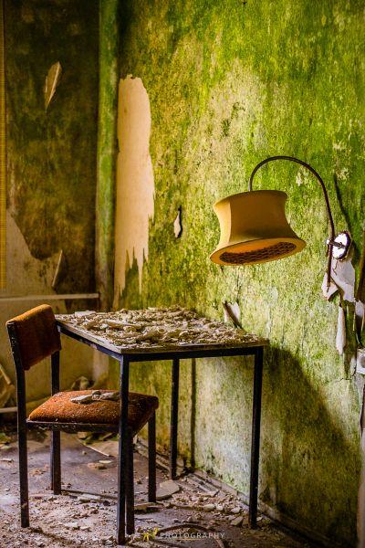 Stuhl und Tisch in einem Raum mit einer mit Moos bedeckten Wand