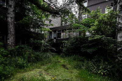 Ein Haus mit einem Baum im Hof
