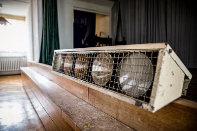 Einen Käfig auf einer Holzbank