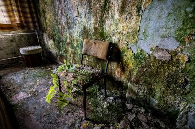 Ein Stuhl in einem schmutzigen Raum mit einer mit Moos bedeckten Wand