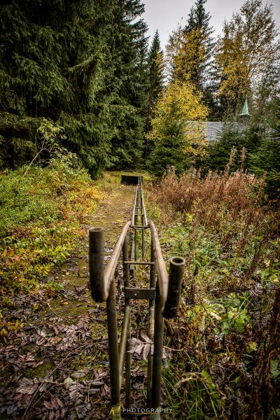 Eine Holzbrücke im Wald mit Bäumen im Hintergrund