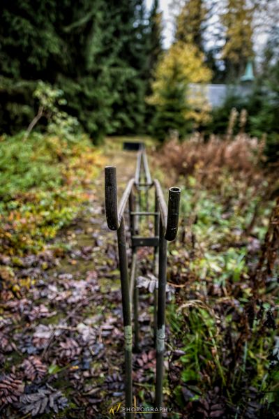 Ein Metallzaun in der Mitte eines Waldes