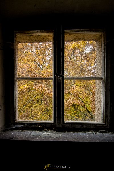 Ein Fenster mit Blick auf einen Baum außerhalb