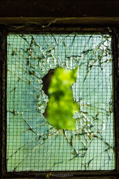 Ein zerbrochenes Fenster mit einem grünen Blatt in der Mitte