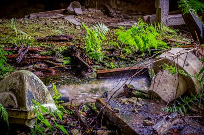 Ein kleiner Bach im Wald in der Nähe eines Friedhofs