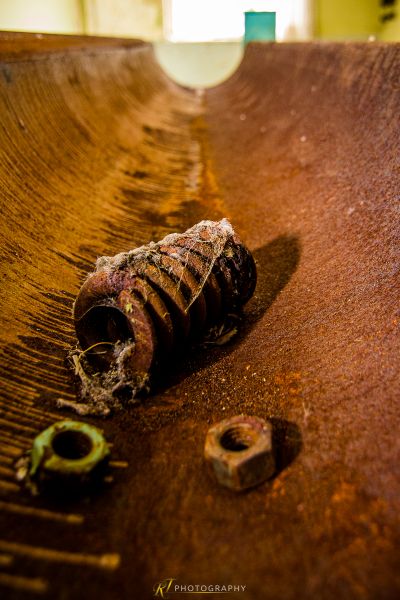 Ein Stück Holz, das auf dem Boden liegt