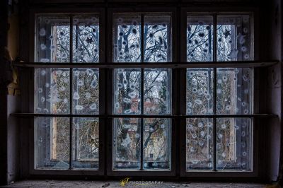 Ein Fenster mit Blick auf einen Baum außerhalb