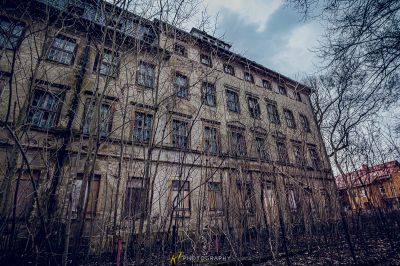 Ein Gebäude mit einem Bündel von Bäumen davor