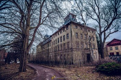Verlassenes Haus im Wald