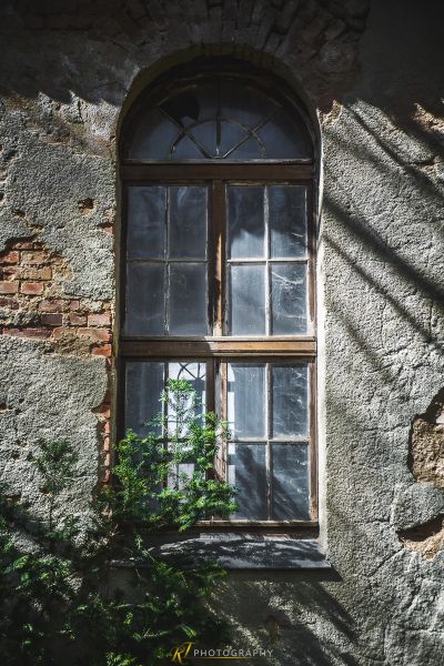 Ein Fenster mit einer Pflanze darin