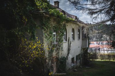 Ein Haus mit einem Baum, der an der Seite wächst