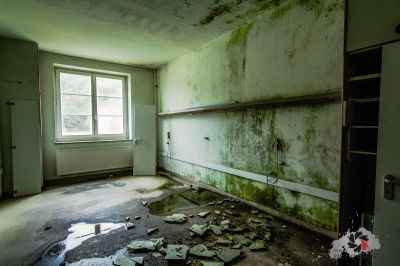 Ein Raum mit einem Fenster und einer Wand mit Schimmel