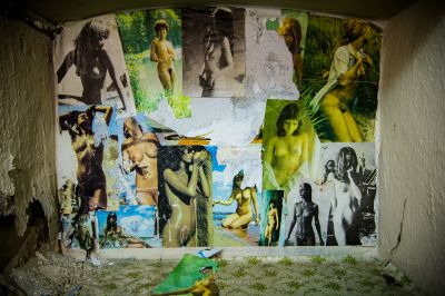 Eine Wand mit Bildern von Tieren und Vögeln