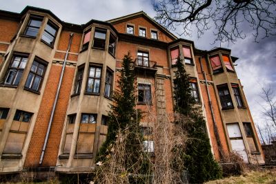 Ein hoher Baum vor einem Gebäude