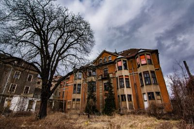 Ein Baum vor einem Gebäude