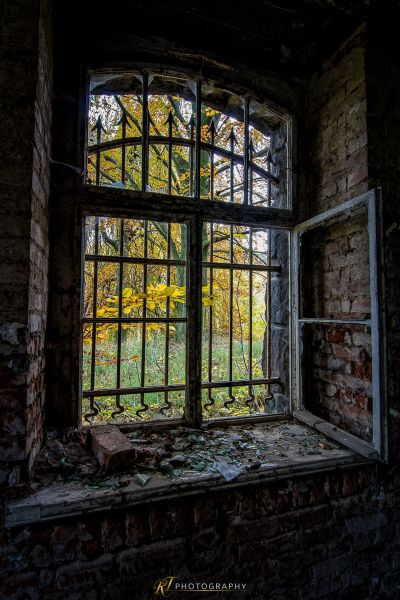 Ein Fenster in einem alten Gebäude mit Blick auf Bäume