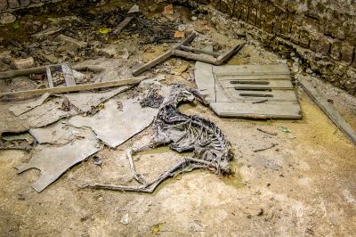 Eine zerbrochene Tür in einem Raum mit einer zerbrochenen Tür