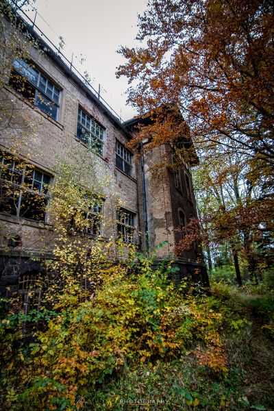 Ein Gebäude mit vielen Fenstern und vielen Bäumen