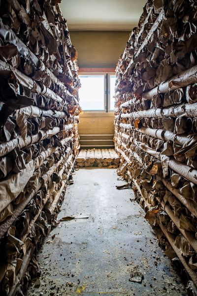Ein Zimmer mit viel Papier auf dem Boden gestapelt