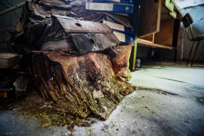 Ein Stück Holz, das auf dem Boden sitzt