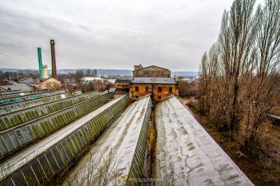 Ein Zug fährt die Gleise auf dem Land hinunter