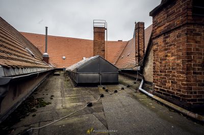 Blick auf ein Dach mit einem Vogel darauf