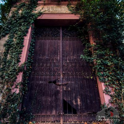 Eine Tür mit Reben, die darauf wachsen