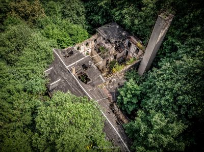 Ein Gebäude im Wald