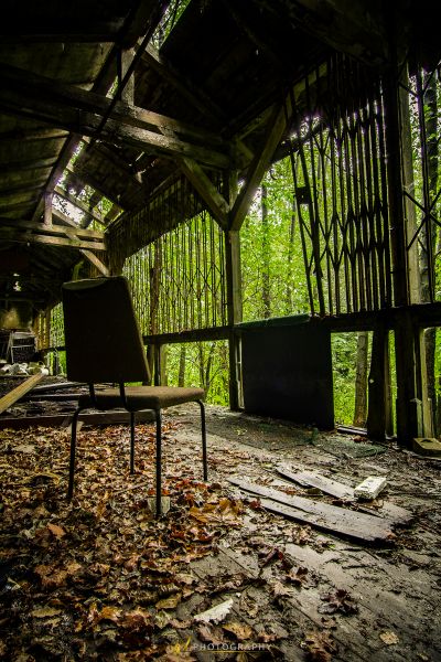 Ein Stuhl sitzt in einem Raum mit vielen Blättern