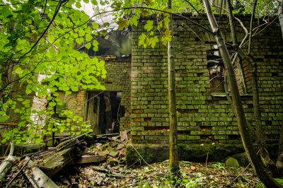 Ein Gebäude, das im Wald sitzt