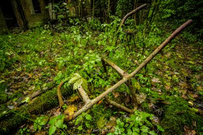 Ein Haufen von Ästen