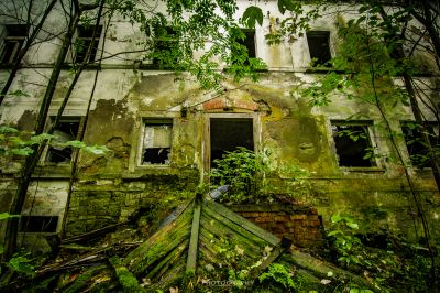 Ein Gebäude mit einem zerbrochenen Fenster und einem Haufen Bäume