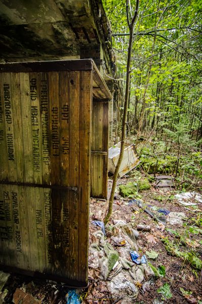 Eine Holzkiste, die in der Mitte eines Waldes sitzt