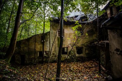 Ein baufälliges gebäude im wald