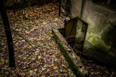 Eine kleine Tür in der Mitte eines Waldes