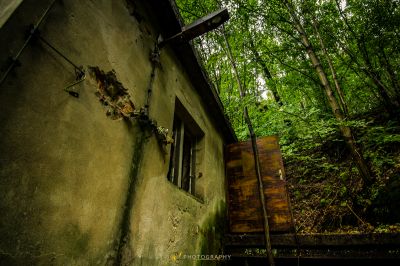 Ein Gebäude im Wald