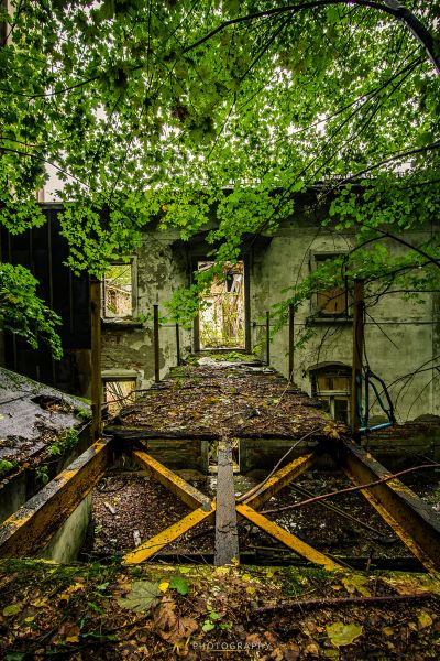 Ein altes verlassenes Gebäude mit einem Baum, der im Hintergrund wächst