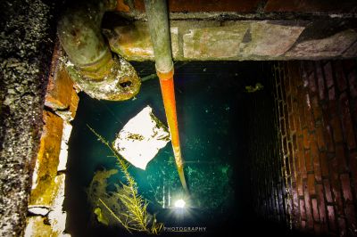 Ein Fisch schwimmt in einem kleinen Pool